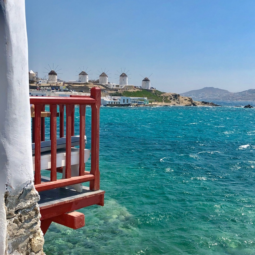 Meet your Posher, Tammy